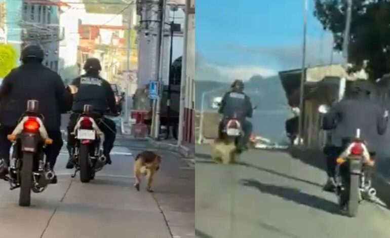 Captan a policia arrastrar a perrito en Jalalcingo Veracruz1