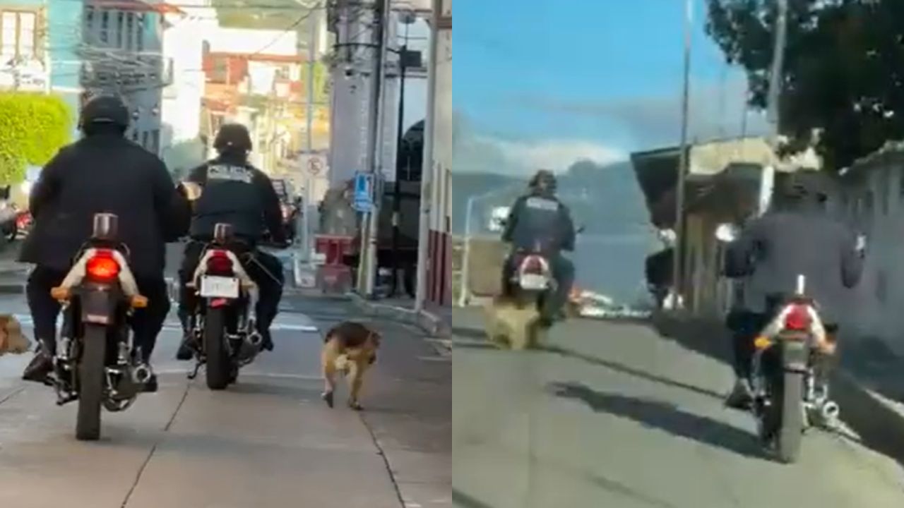 Captan a policía arrastrar a perrito en Jalalcingo, Veracruz