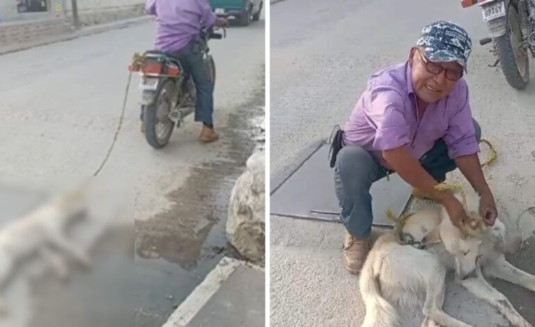 Exigen justicia para perrito que fue arrastrado en una moto en Soledad Etla, Oaxaca