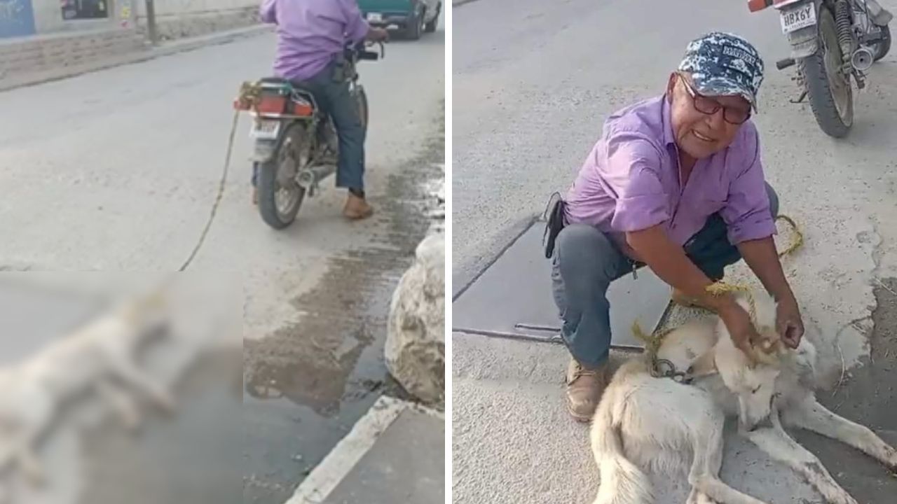 Exigen justicia para perrito que fue arrastrado en una moto en Soledad Etla, Oaxaca