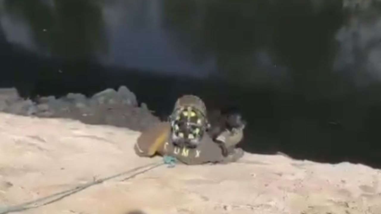 Bomberos rescatan a perrito de canal de aguas negras en la GAM