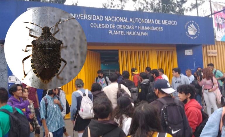 chinches llegan hasta cch suspenden clases por fumigacion