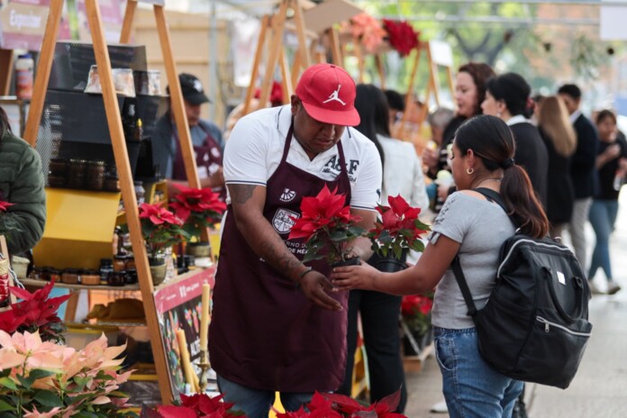 Arranca el Festival de Flores de Nochebuena Un Colorido Preambulo Navideno en Paseo de la Reforma 696x464 1