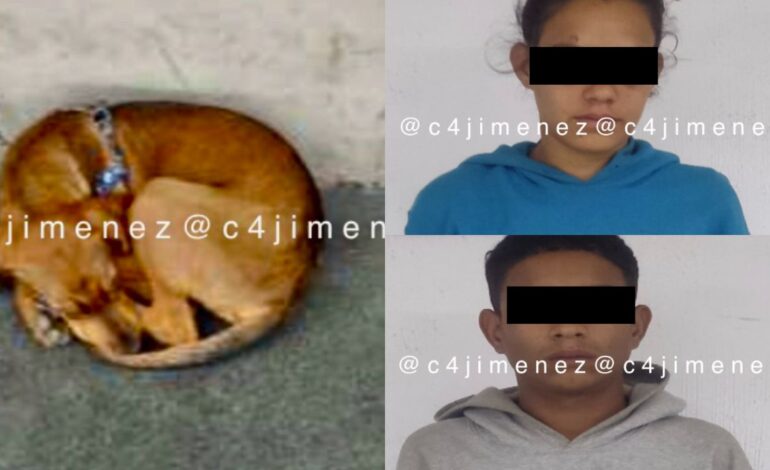 Arrestan a 2 venezolanos tras apalear a perro en la Cuauhtemoc