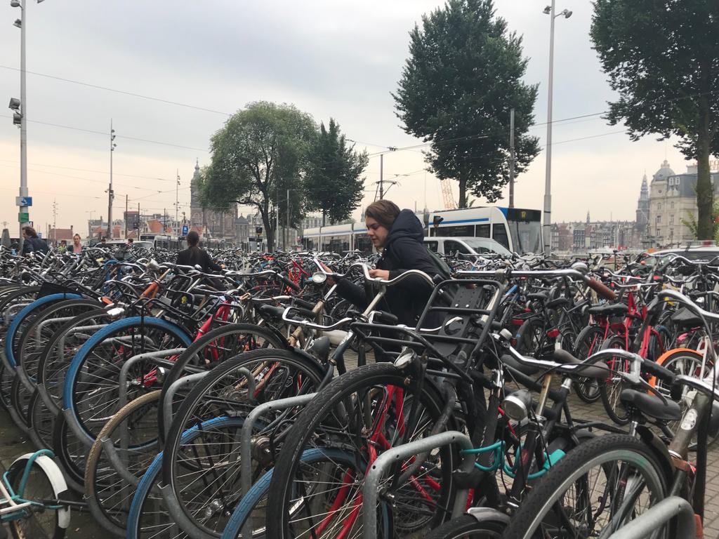 Recomiendan Países Bajos profesionalizar uso de bicicletas