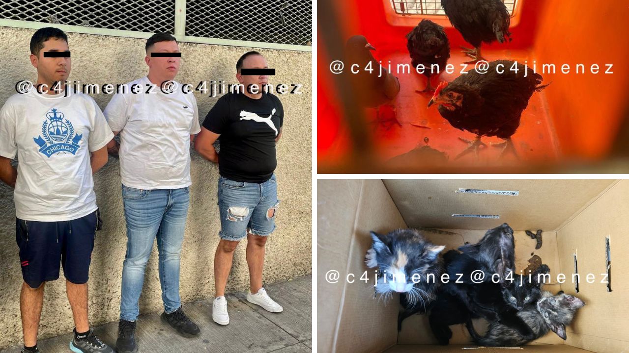Caen santeros con cadáver de bebé y animales en Venustiano Carranza