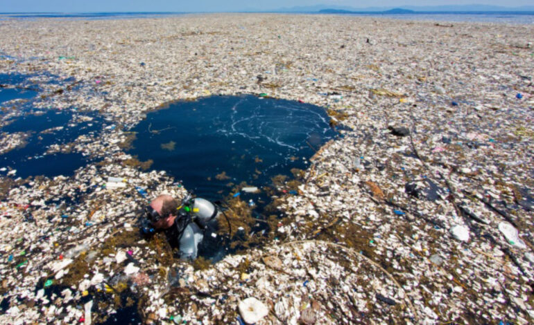 peces y basura