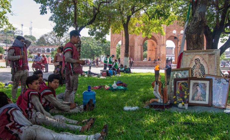 Indígenas rezan en honor a la Virgen María debajo de árboles sagrados en Chiapas