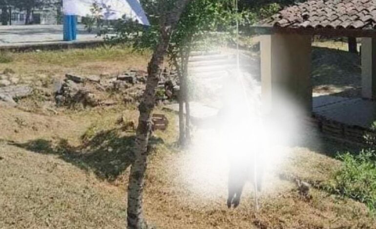 Fiscalia investiga presunto asesinato de tlacuache en Oaxaca