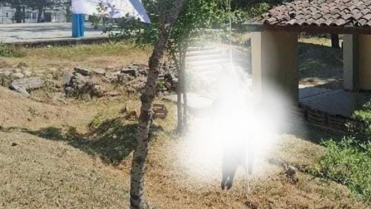 Fiscalía investiga presunto asesinato de tlacuache en Oaxaca