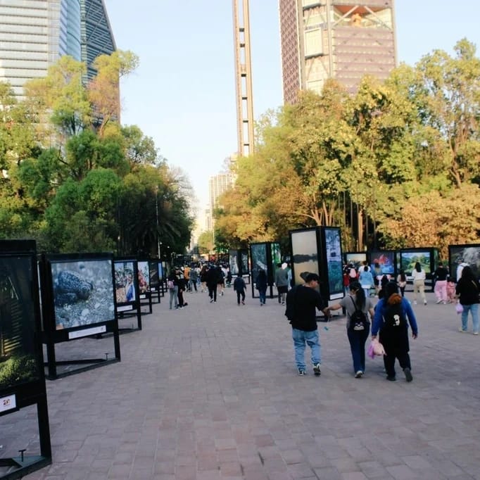 Gran éxito tiene la exhibición fotográfica “Esto es Tamaulipas” en el Bosque de Chapultepec