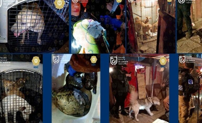 rescate animales Xochimilco