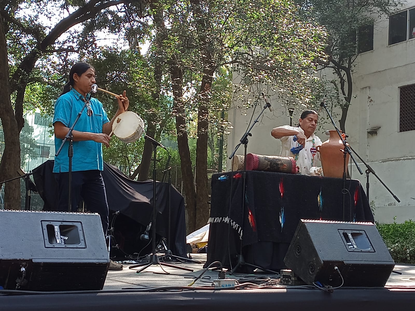 El Sistema Creación abre las convocatorias: Jóvenes Creadores, Músicos Tradicionales y Pecda Quintana Roo