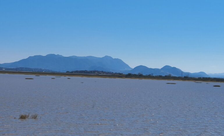 Solo un Decreto Presidencial como zona de Restauracion Ecologica podra salvar al lago de Cuitzeo