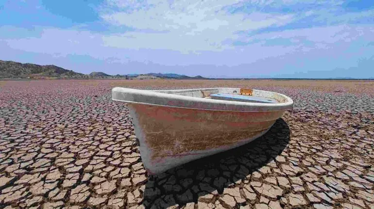 befunky 2024 3 6 10 9 0