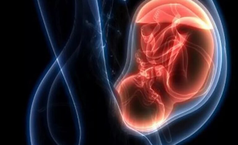 La preeclampsia, desafío importante en la prevención prenatal y obstetrica en México