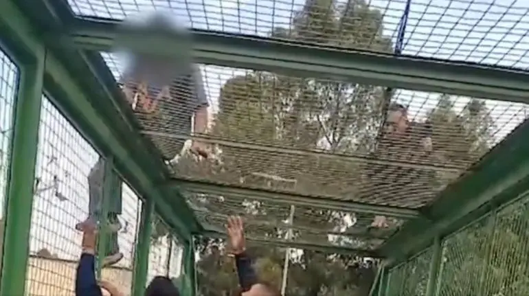 hombre intenta lanzarse desde puente peatonal