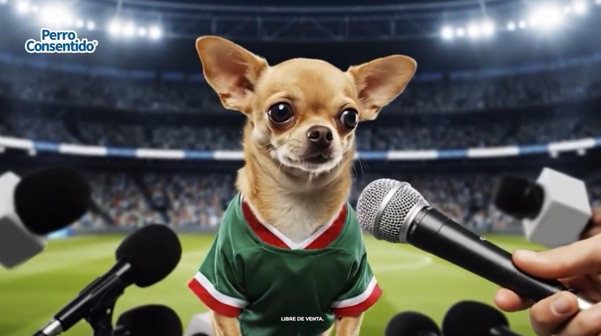 Conecta la pasión futbolera con el bienestar de las mascotas.