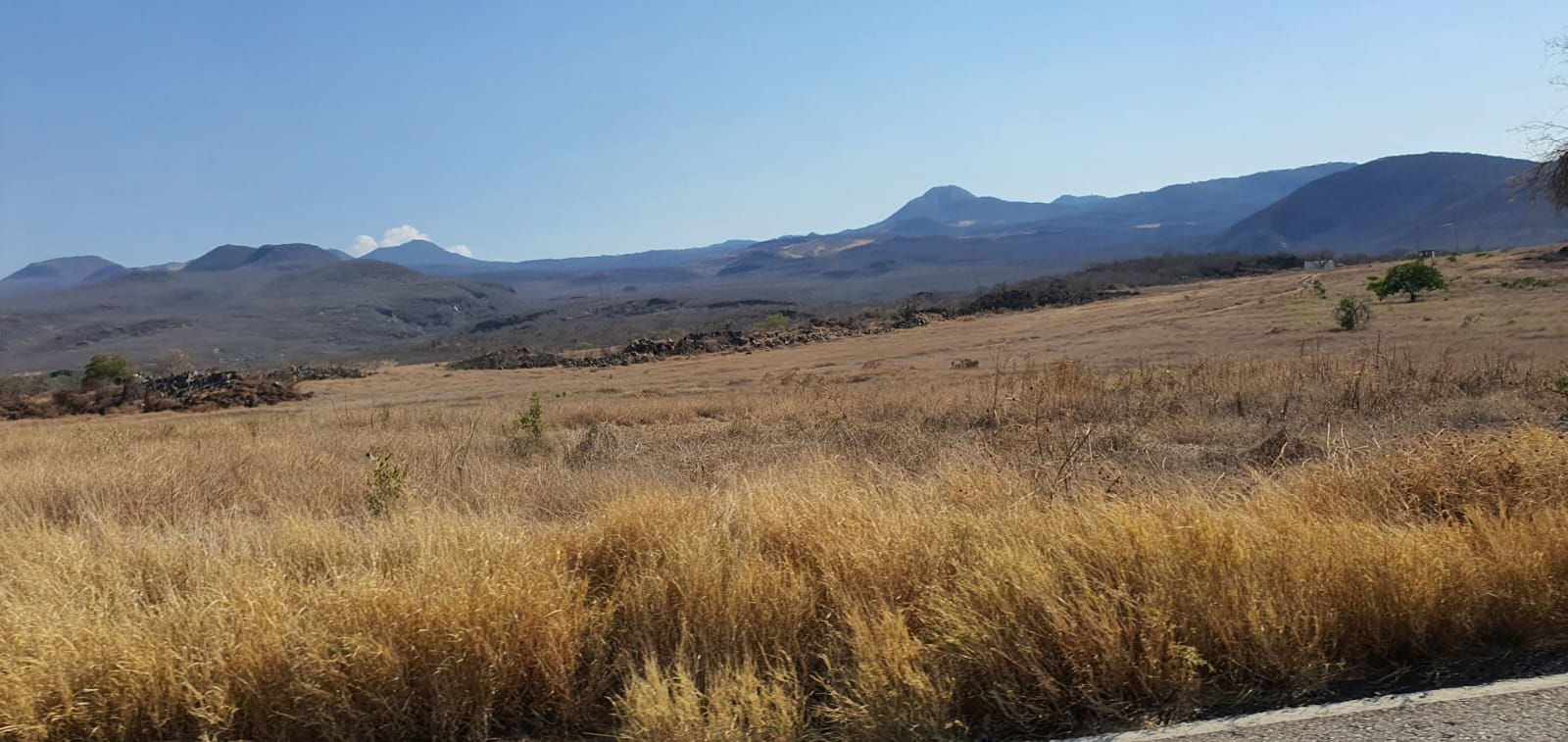 En Sierra Costa michoacana urgen a iniciar ya la etapa de reforestación; sin ella no habrá agua de lluvia que se filtre en el suelo