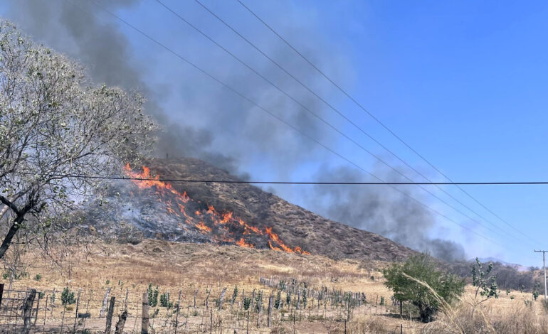 Esta deforestado el 70 de la zona Sierra Costa de Michoacan este ano se han perdido 9 mil hectareas por incendios en Coalcoman