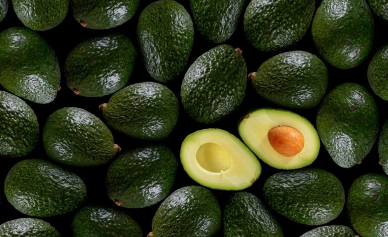 aguacate envios Mexico seguridad