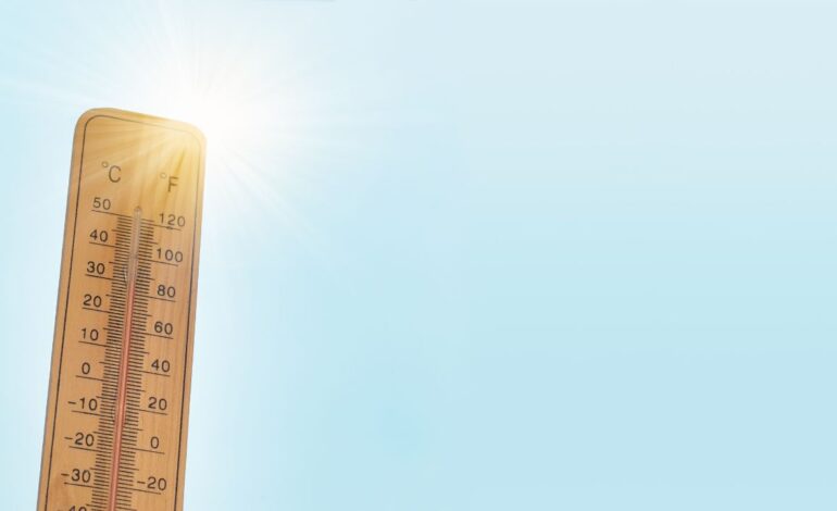 muertes ola de calor