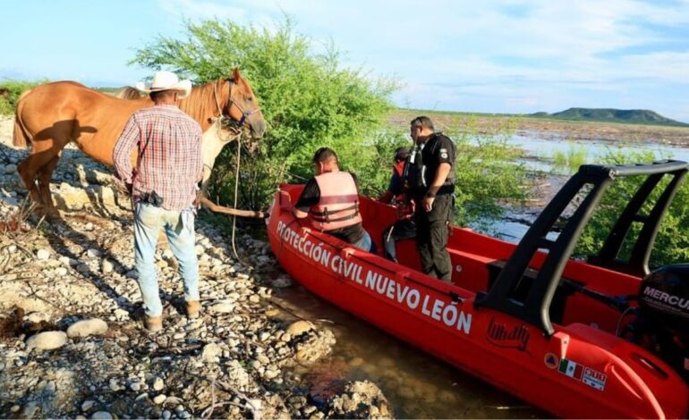 Caballos NL