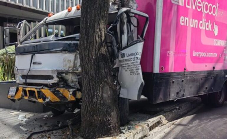 Camión de carga da volantazo y choca contra un árbol en Periférico Sur