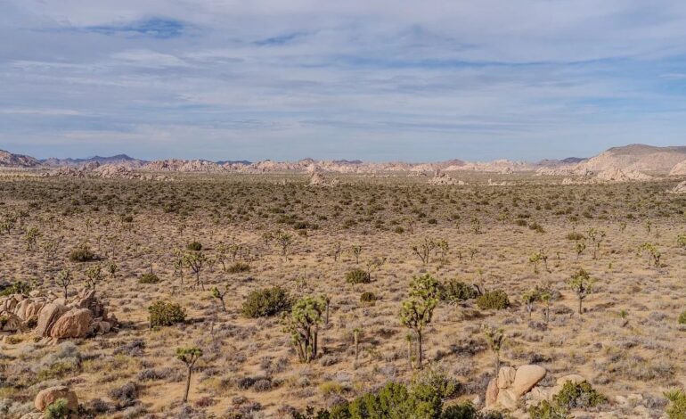 Localizan a tres migrantes que murieron deshidratados en el desierto de Sonora