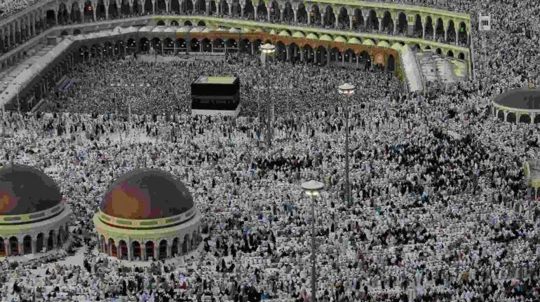 befunky 2024 5 6 9 10 45