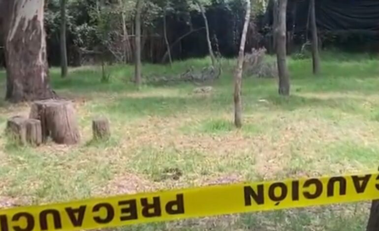 Encuentran otro perrito muerto en el Bosque de Nativitas; van 25 casos