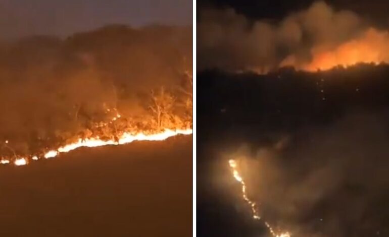 video fuerte incendio en subida a chalma moviliza brigadas de rescate