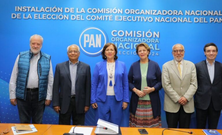 Comision Organizadora PAN