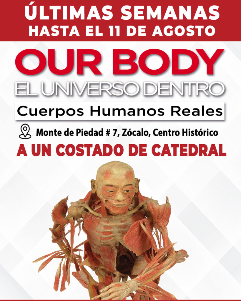 OUR BODY JULIO 2024 CARTEL