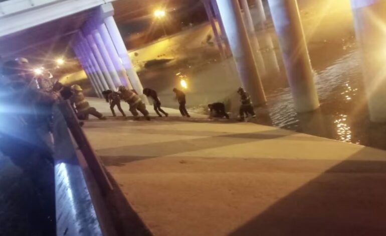 Rio Bravo migrantes