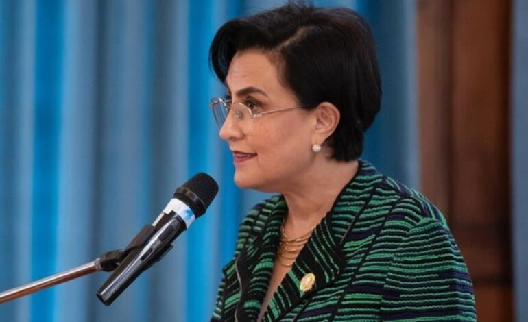 ecuador canciller Gabriela Sommerfeld