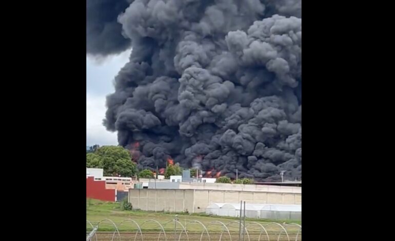 incendio San Gregorio