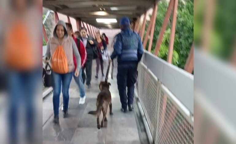 Retiran a perrito de vías tras interrumpir servicio en Línea B del Metro