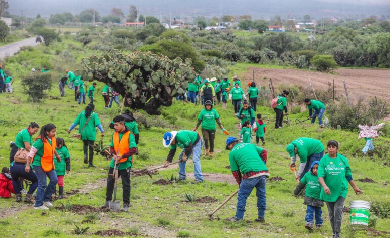 Iberdrola México planta 8,000 árboles en cinco estados