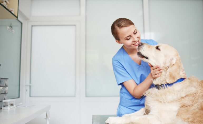 ¿Ya vacunaste a tu perro contra la rabia? La importancia de vacunarlo anualmente