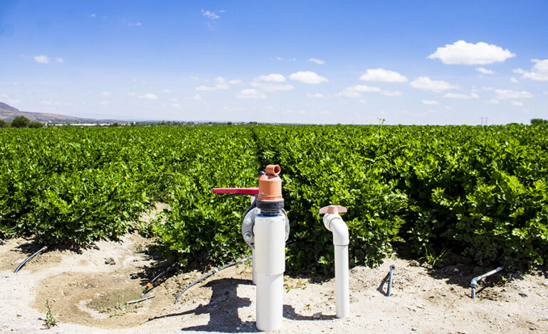 Qué son las Climatech y por qué están redefiniendo la sostenibilidad hídrica en Latinoamérica