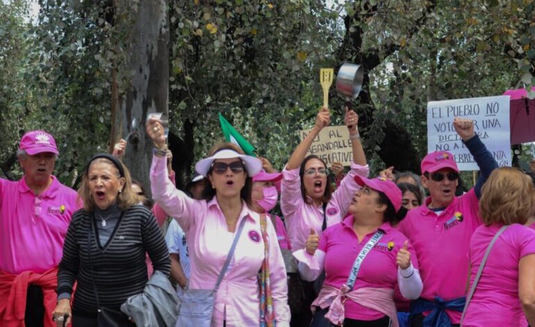 marea rosa protesta contra reforma pj y sobrerrepresentacion 1024x682 1