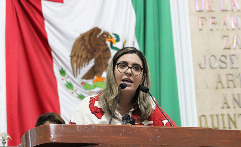 No nos sorprende que el cartel inmobiliario defienda la gentrificacion Diputada Cecilia Vadillo Obregon