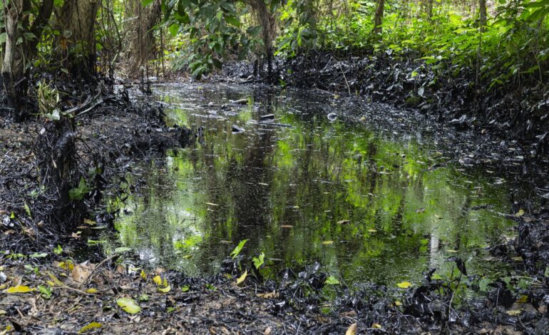 PETROLEO CONTAMINACION