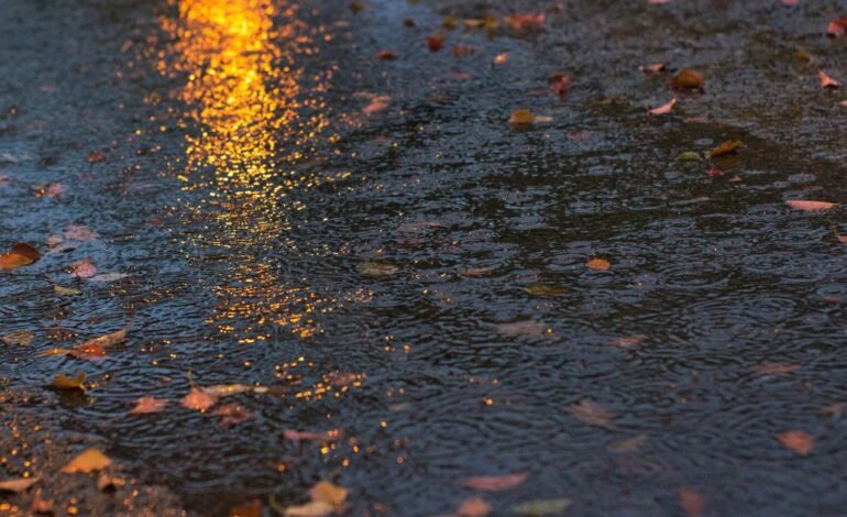 Lluvias en Veracruz cobran primer víctima: joven muere arrastrado por arroyo en Tuxtla