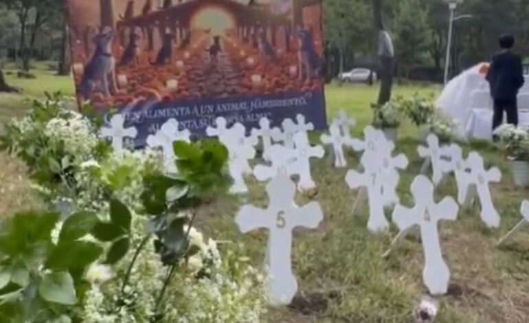 Colocan ofrenda para perritos asesinados en el Bosque de Nativitas, Xochimilco