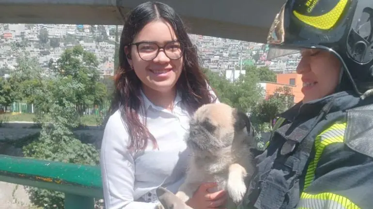 perro rescatado acueducto de guadalupe