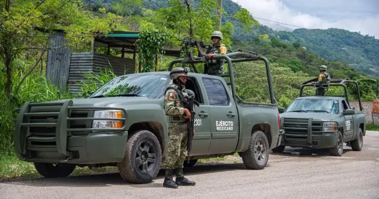 defensa incauta 28 mil armas 200 mil ano