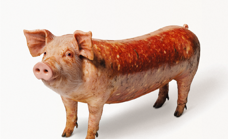 Veganuary lanza su campaña 2025 y se prepara para un nuevo Enero Vegano