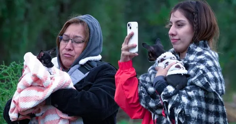 onda fria traera nevadas vientos y lluvias del 19 al 22 de enero a estos estados